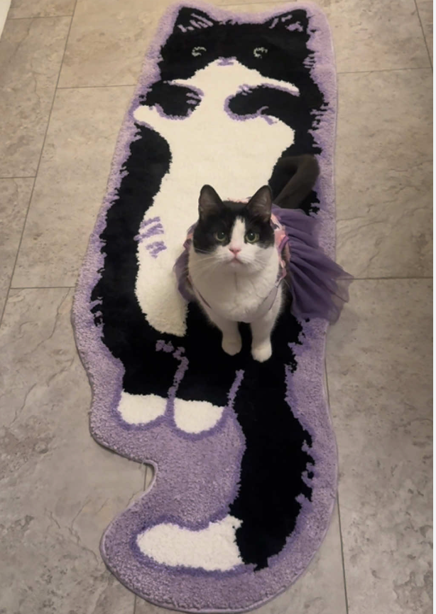 Catopia™ Cartoon Cat